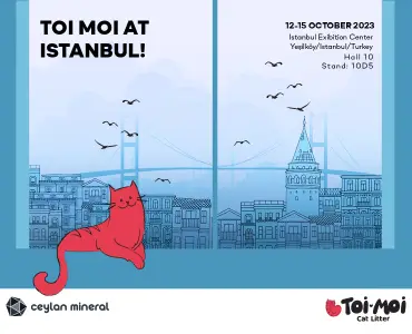 Toi Moi at Istanbul!