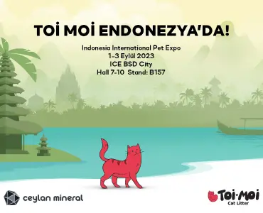Toi Moi Endonezya'da!