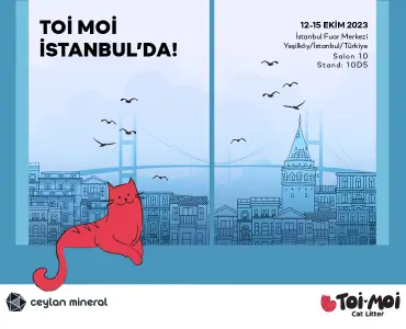 Toi Moi İstanbul'da!