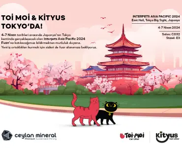 Toi Moi & Kityus Tokyo'da!